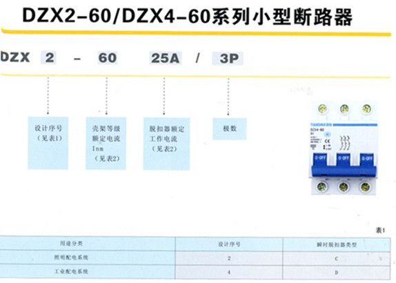 DZX2-60ѡͼ