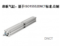 DNCT ׼-˹FESTO