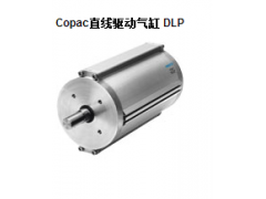 DLP Copacֱ-˹FESTO