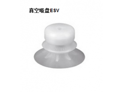 ESV -˹FESTO