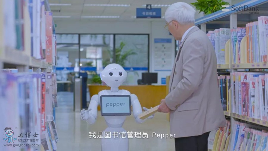 Pepper Ϻͼ2