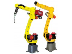 ǿƻ˻е FANUC M-10iA/10MS װ  װ  ӹ 