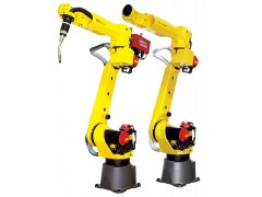 ǿƻ FANUC M-20iA/20M װ  װ  ӹ /㺸