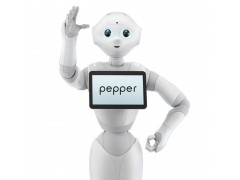 pepper ܻ