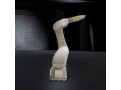 FANUC P-40iA Paint Robot ǿƻ