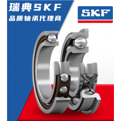 SKF-W 618/1 R вƷ˵-˹й