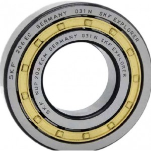 SKF 1209 EKTN9