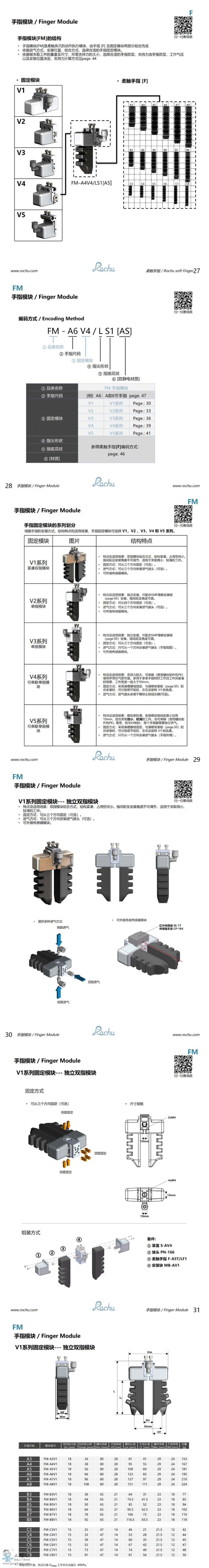 ָģFM (1)