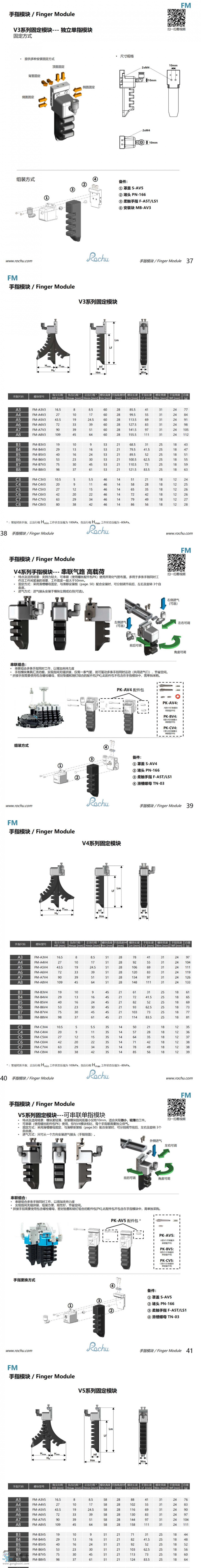 ָģFM (3)