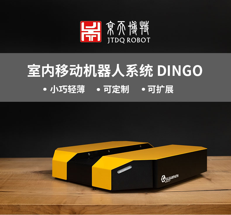 dingo_01