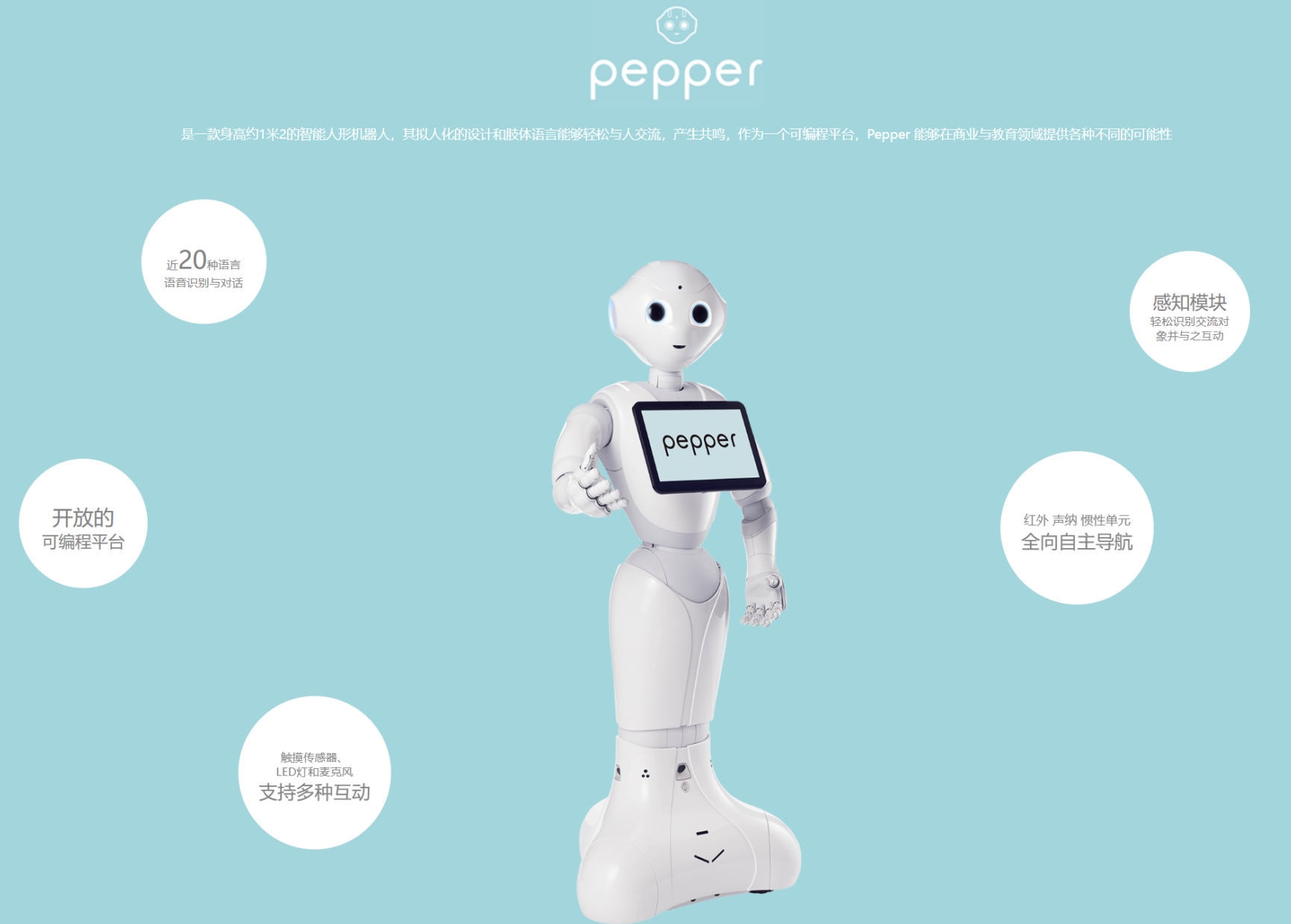 pepperͨ2